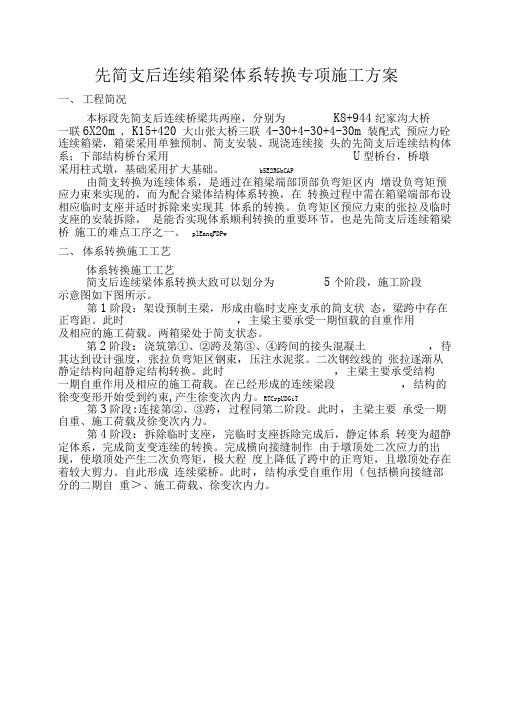 体系转换专项实施方案书