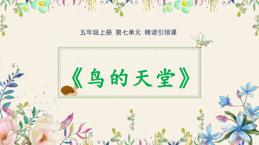 部编人教版小学语文五年级上册23课《鸟的天堂》课件