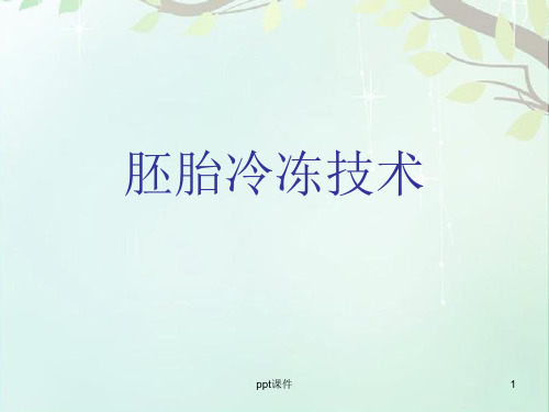 胚胎冷冻技术  ppt课件