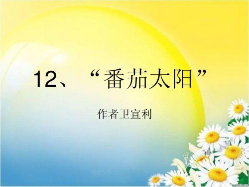 12[1].番茄太阳