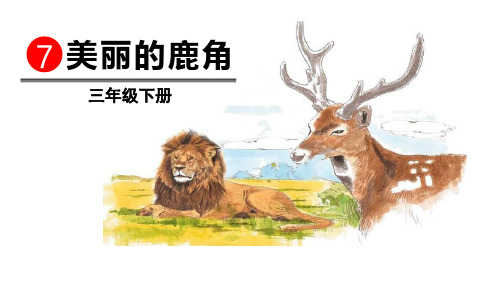 《美丽的鹿角》下载-三年级下册语文PPT课件