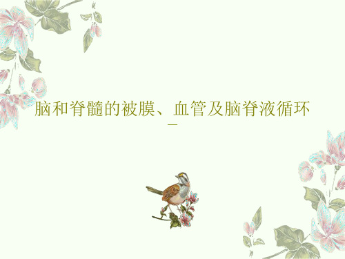 脑和脊髓的被膜、血管及脑脊液循环共34页文档