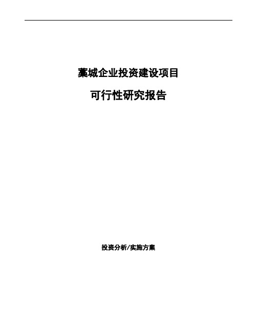 藁城投资项目可行性研究报告