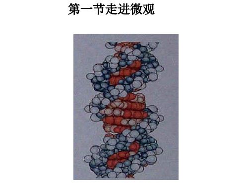 沪科版物理八年级11.1走进微观