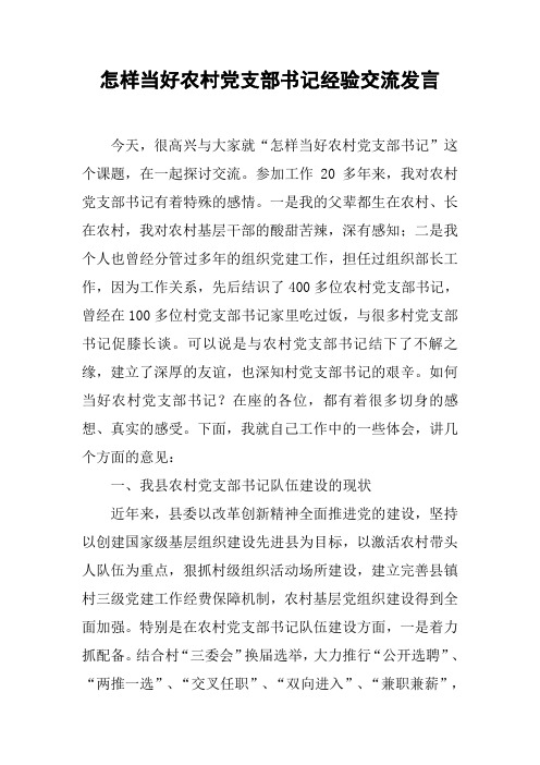 怎样当好农村党支部书记经验交流发言