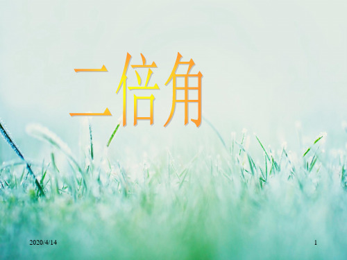 二倍角PPT课件