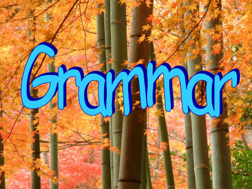 8A unit4 grammar课件