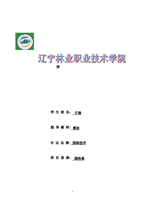 丹东市站前广场施工组织设计
