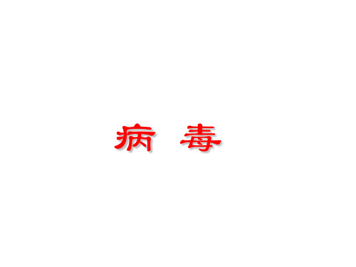 病毒