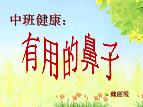 中班健康《有用的鼻子》  ppt课件