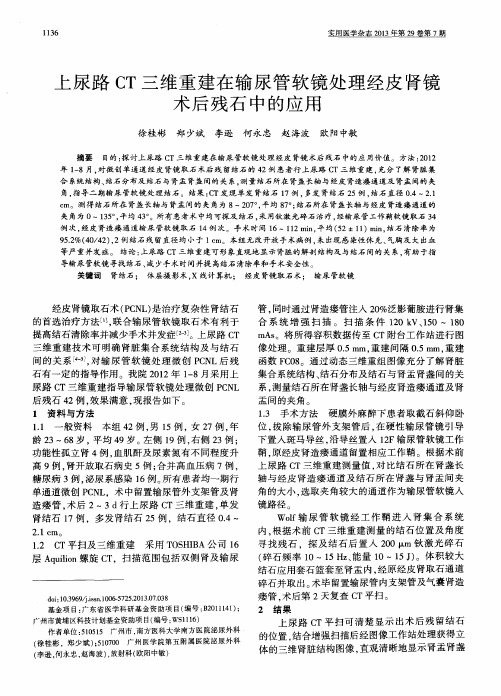 上尿路CT三维重建在输尿管软镜处理经皮肾镜术后残石中的应用