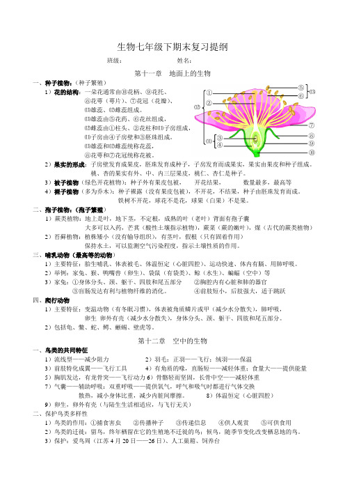 七年级下学期期末复习提纲