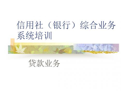 信用社(银行)综合业务系统培训(贷款业务)