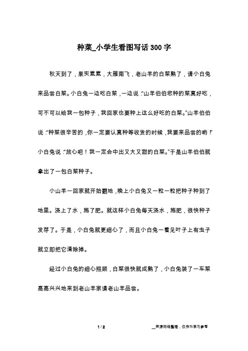 种菜_小学生看图写话300字