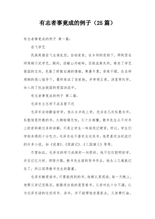 有志者事竟成的例子(25篇)