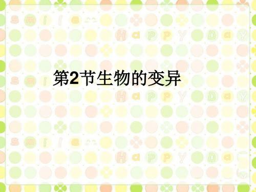 生物的变异PPT课件47 苏科版