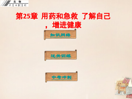 中考生物冲刺复习 基础梳理 第25章 用药和急救 了解自己,增进健康课件 新人教版