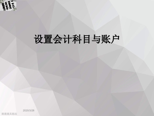 设置会计科目与账户