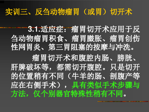 实训瘤胃切开术