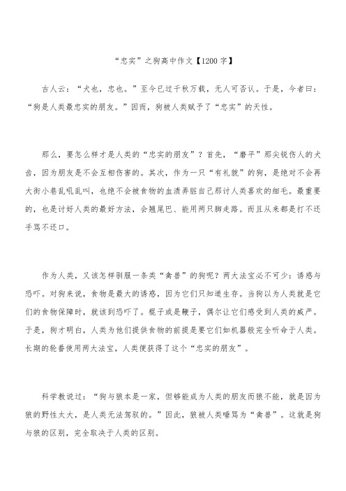 “忠实”之狗 高中作文【1200字】