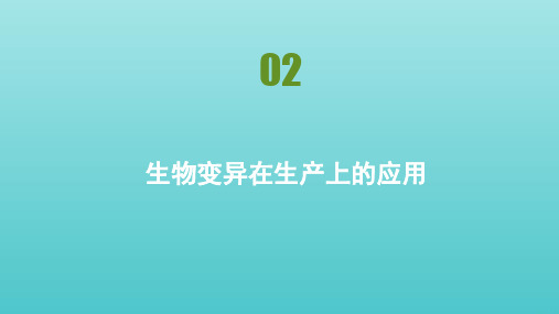 2020_2021学年高中生物第四章生物的变异第二节生物变异在生产上的应用课件浙科版必修2.pptx