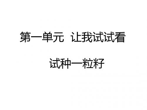 部编版二年级道德与法治下册4试种一粒籽课件