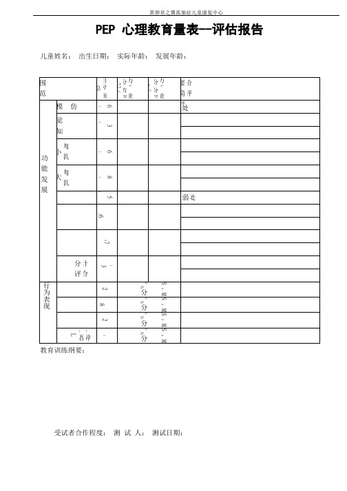 PEP-3心理教育量表--评估报告