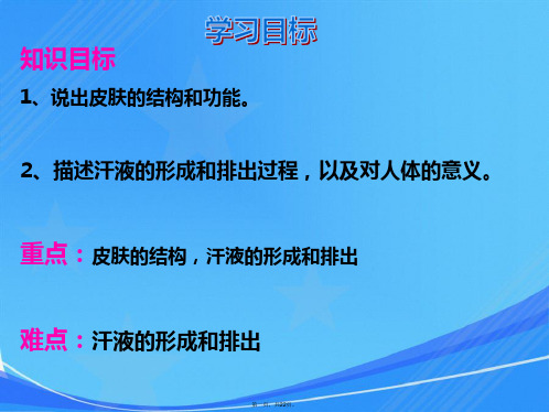 汗液的形成和排出课件