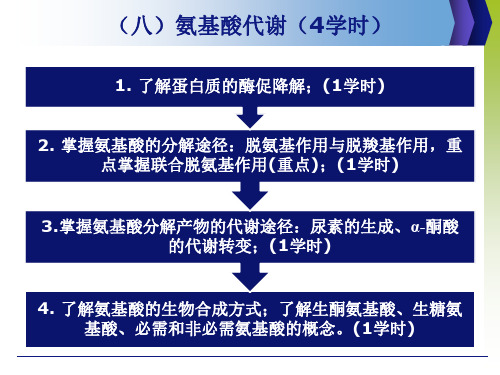 生物化学第七章 氨基酸代谢(2)