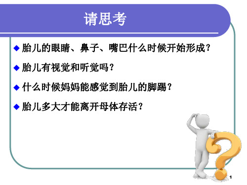 胎儿的生理心理发展ppt课件