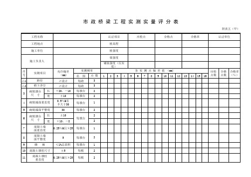 001-市政桥梁工程实测实量评分表附表五