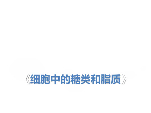 必修一(3)细胞中的糖类和脂质 课件 2021届高考一轮复习生物(共17张PPT)