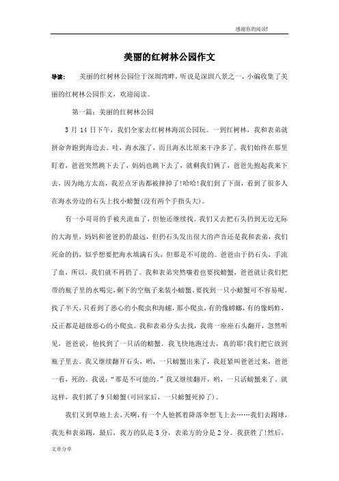 美丽的红树林公园作文