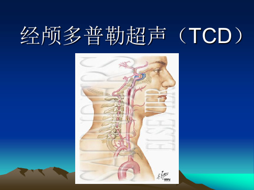 经颅多普勒超声(TCD) PPT课件