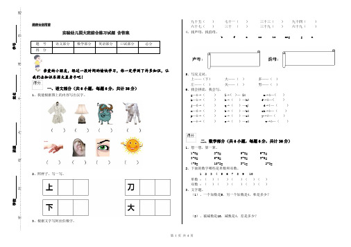 实验幼儿园大班综合练习试题 含答案