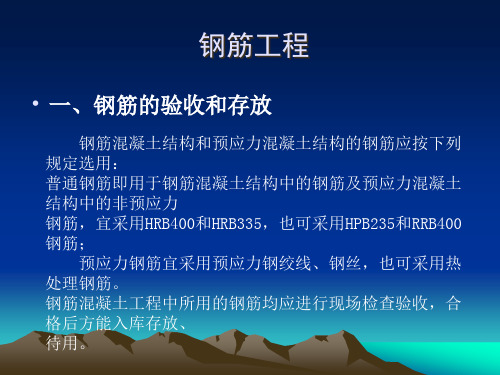钢筋工程培训课件.pptx