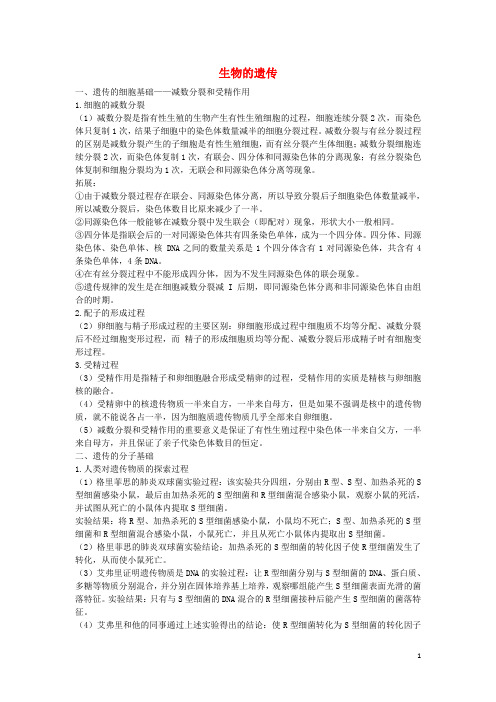 广东省中山市中山纪念中学高考生物一轮复习 考点梳理 第五单元 生物的遗传 新人教版