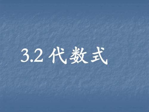 3.2_代数式(1)