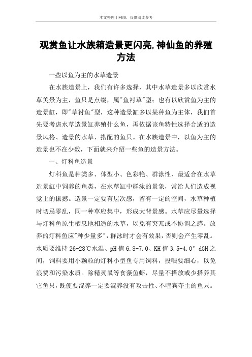 观赏鱼让水族箱造景更闪亮,神仙鱼的养殖方法