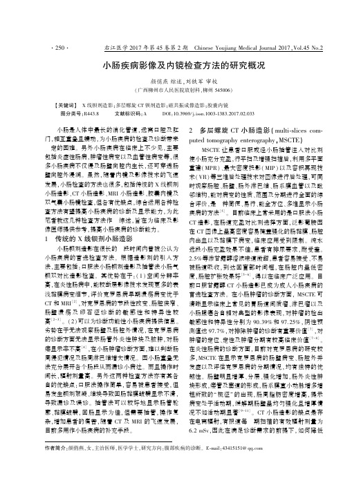 小肠疾病影像及内镜检查方法的研究概况