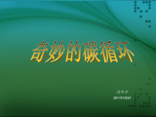 奇妙的碳循环.ppt