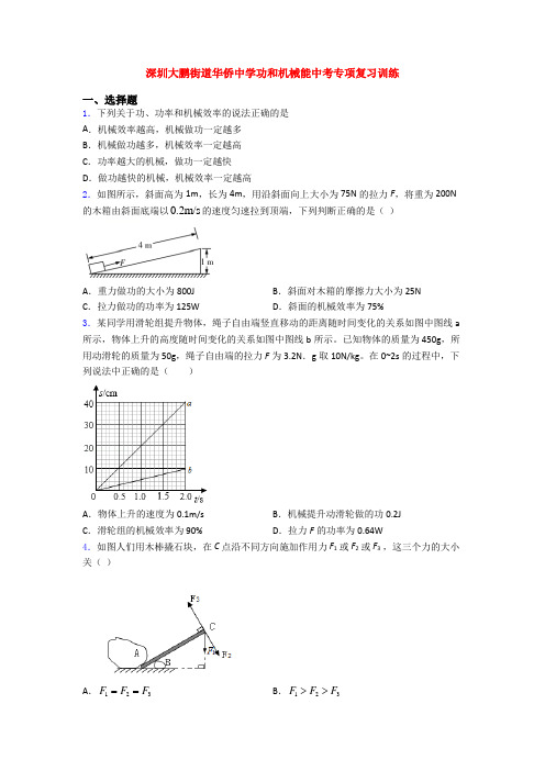 深圳大鹏街道华侨中学功和机械能中考专项复习训练