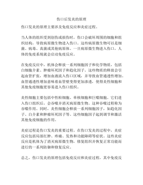 伤口后发炎的原理