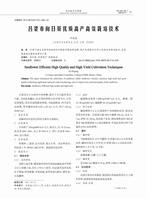 吕梁市向日葵优质高产高效栽培技术