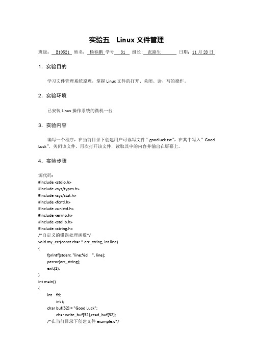 实验五 杨春鹏