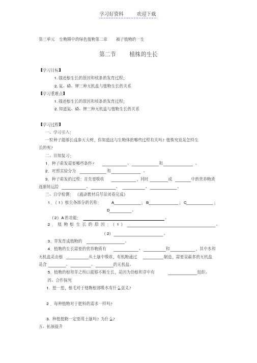 植株的生长导学案