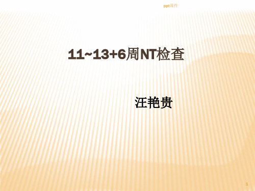 NT检查规范
