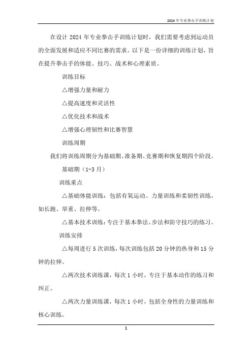 2024年专业拳击手训练计划