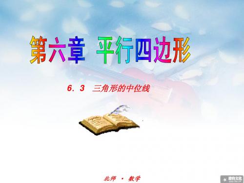 6.3三角形的中位线13张)精美课件