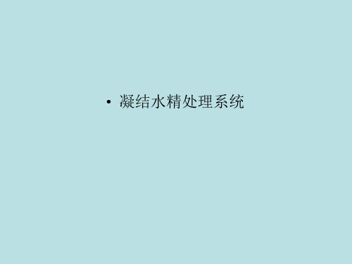 凝结水精处理系统